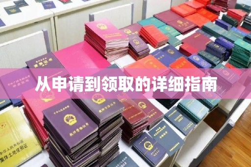 垫江从申请到领取的详细指南