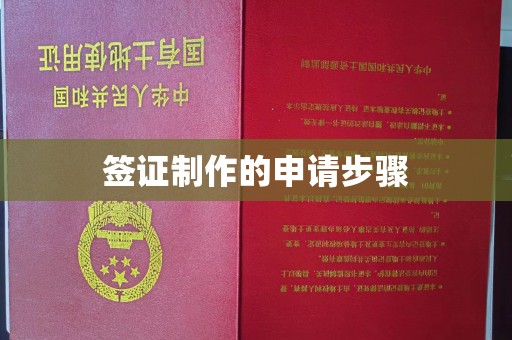 垫江签证制作的申请步骤