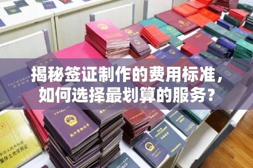 垫江揭秘签证制作的费用标准，如何选择最划算的服务？