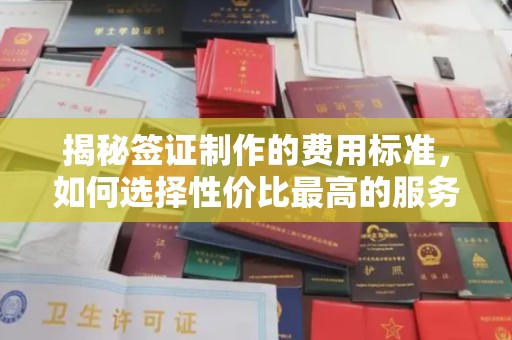 垫江揭秘签证制作的费用标准，如何选择性价比最高的服务？
